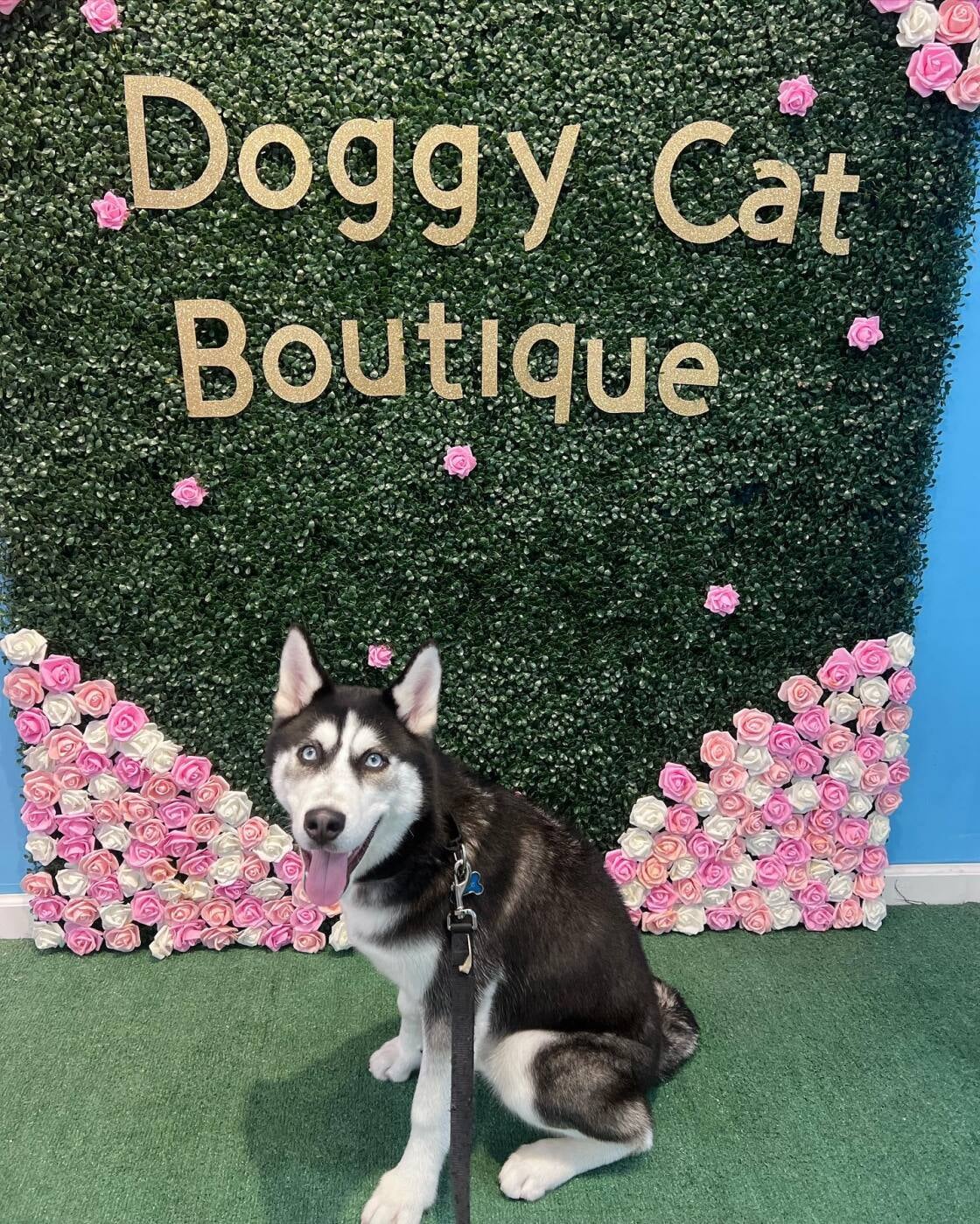 Home Doggy Cat Boutique